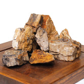 Amtra - Petrified Rock, Aquarium Decoration, Natural, Non-Limestone, Random Piece/Weight